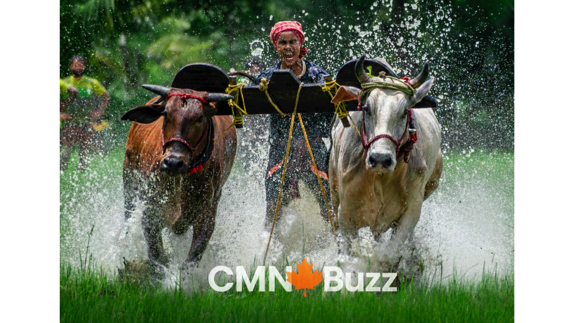 Indian farmers nationwide strike protesting against US-India interim trade deal 2026.